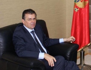 gvozdenovic branimir