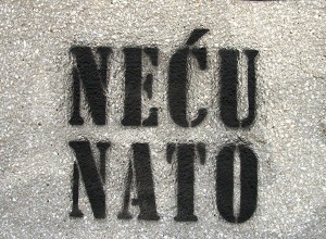 Necu_Nato