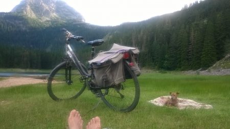 14066331_1452672764761441_1788003856827427426_o