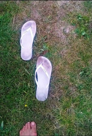 20771762_10214252701500957_706290230_o