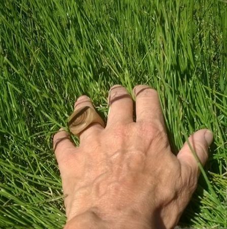 21124017_10210602763809647_456740332_n