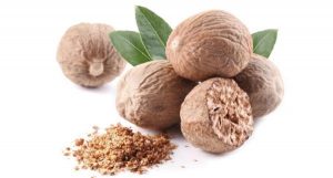 muskatni-orascici