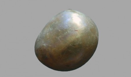 biser e1545290884504