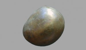 biser e1545290884504 biser e1545290884504