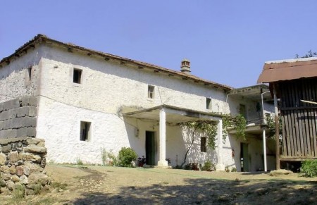 zuta kuca e1548493048740