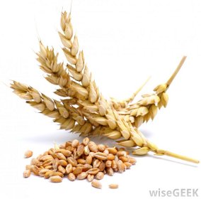 wheat