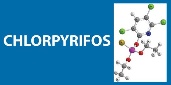 Chlorpyrifos