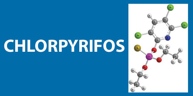 Chlorpyrifos Chlorpyrifos