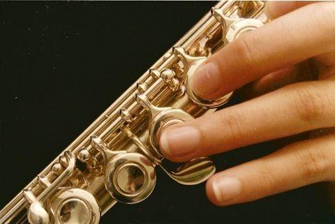 flauta