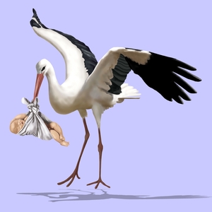 roda foto novinenovosadske rs