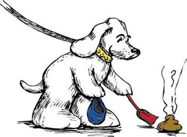 pseci izmet pseci izmet