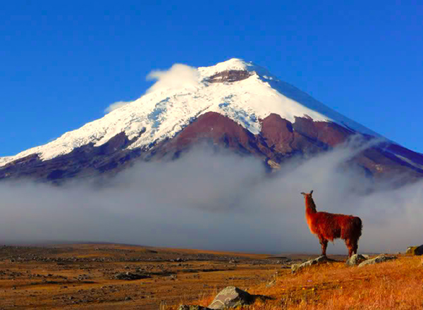 chimborazo