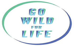 go wild