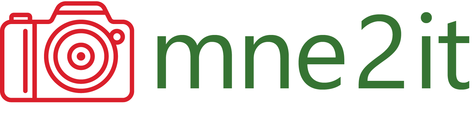 mne2it
