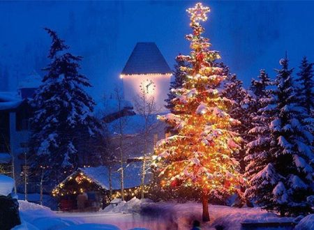 jelka e1544078587918