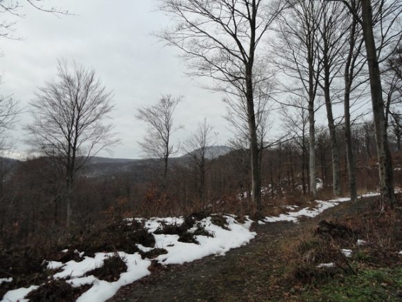 Pretežno sunčano, ujutru mraz na sjeveru Crne Gore