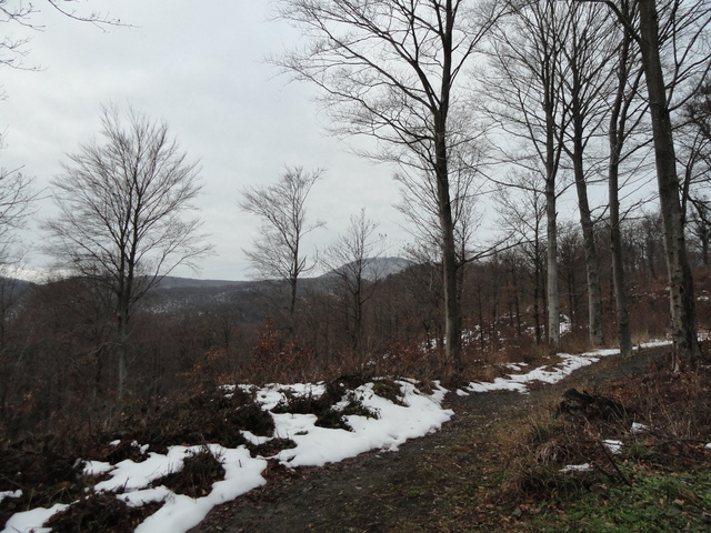 Pretežno sunčano, ujutru mraz na sjeveru Crne Gore