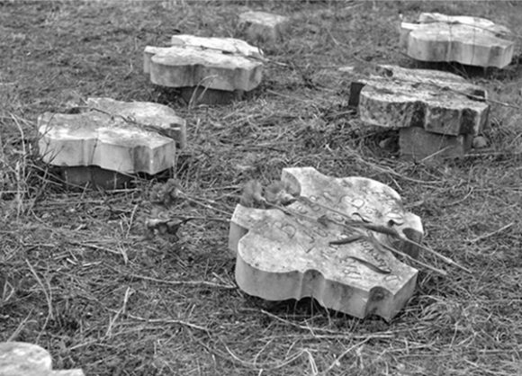 partizansko groblje mostar 1