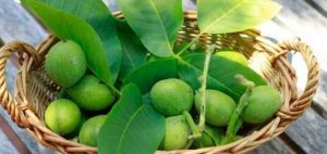 mladi orah e1504938967694