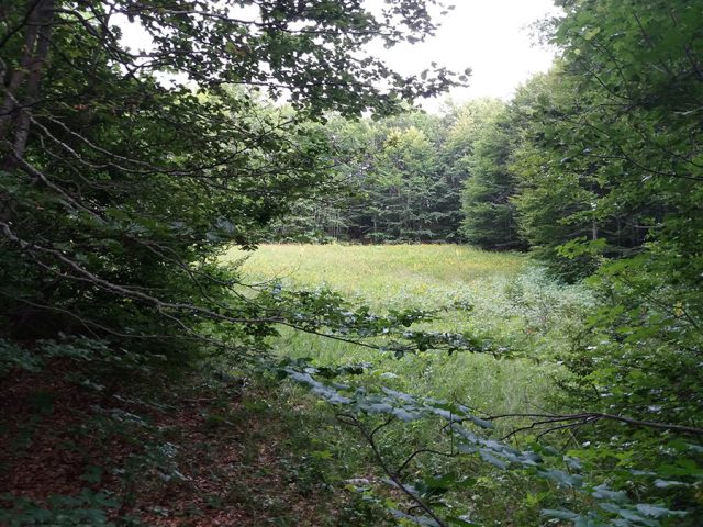 Sunčano i toplo, najviša dnevna temperatura od 25 do 35 stepeni