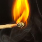 Počela sezona požara, MUP upozorava