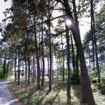 Pretežno sunčano, najviša dnevna temperatura od 6 do 16 stepeni