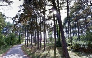 Pretežno sunčano, najviša dnevna temperatura od 6 do 16 stepeni