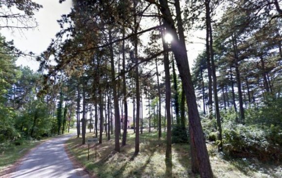 Pretežno sunčano, najviša dnevna temperatura od 6 do 16 stepeni