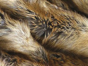 Poljska zabranila farme krzna