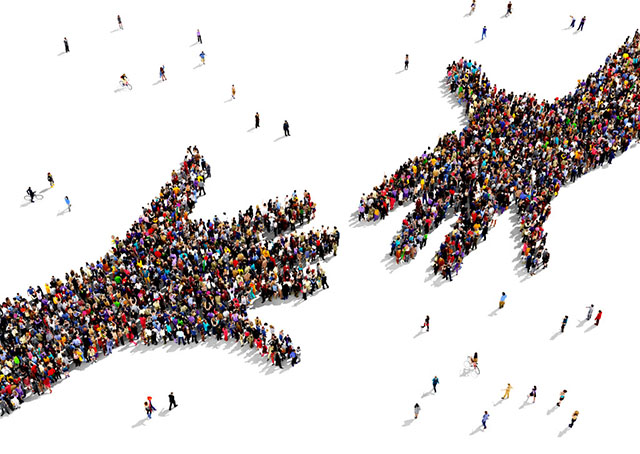 tolerancija tolerancija