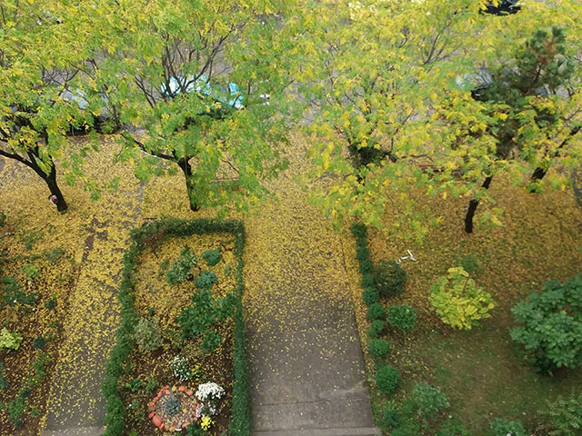 Promjenljivo oblačno, ponegdje sa slabom kišom