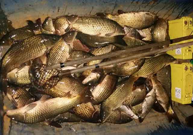 Stroga zabrana ribolova na Skadarskom jezeru