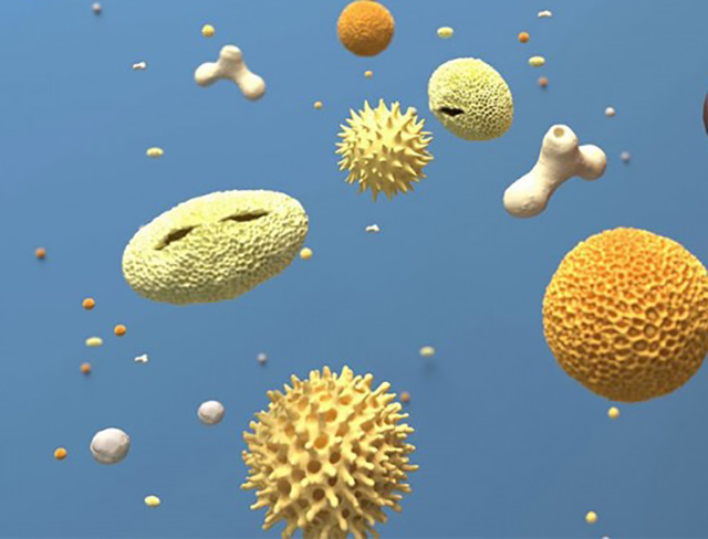 Štetni toksini iz vazduha uticali na evoluciju?