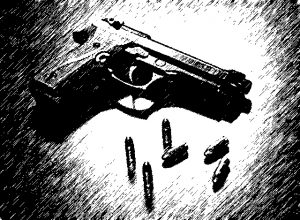 Građani lani predali više od 4.100 komada oružja