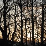 Pretežno sunčano, najviša dnevna temperatura od 7 do 16 stepeni