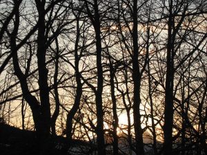 Pretežno sunčano, najviša dnevna temperatura od 7 do 16 stepeni