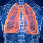 Dva mjeseca živio bez oba plućna krila