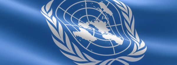 Vlada CG ignorisala specijalne izvjestiteljke UN