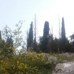 Najviša dnevna temperatura vazduha od 5 do 18 stepeni