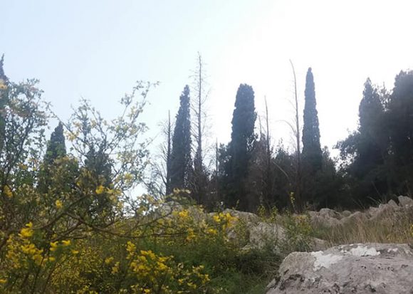 Najviša dnevna temperatura vazduha od 5 do 18 stepeni