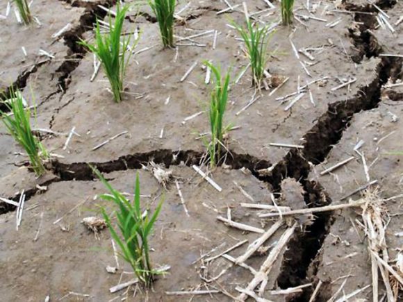 UN: Za svega tridesetak godina, klimatske promjene trajno 'osušile' čak tri četvrtine naše planete