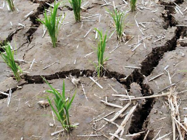 UN: Za svega tridesetak godina, klimatske promjene trajno 'osušile' čak tri četvrtine naše planete