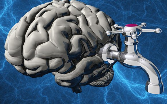 Politički motivisana i pravno neutemeljena odluka Administrativnog odbora Skupštine CG