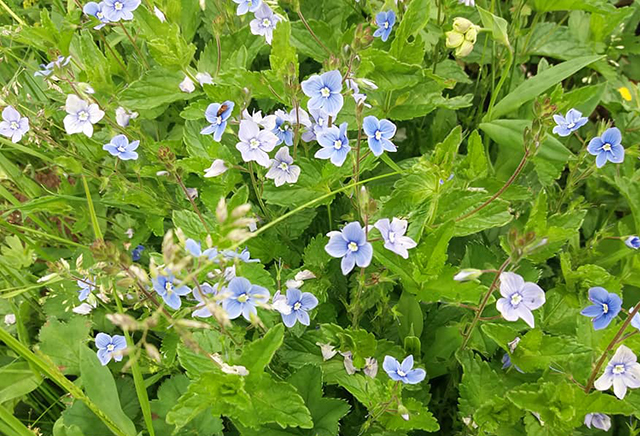 Malo do umjereno oblačno sa dužim periodima sunčanog vremena