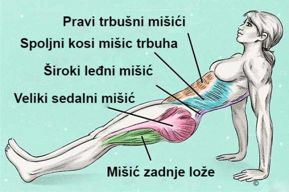 Vježbanjem do savršene linije