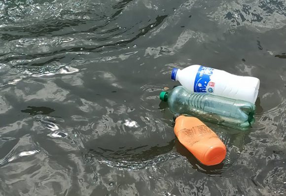 Otkrivene bakterije koje uništavaju 'vječne hamikalije'