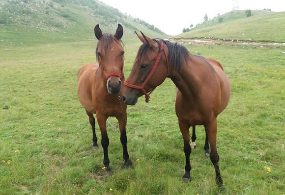 Malo do umjereno oblačno sa dužim sunčanim periodima