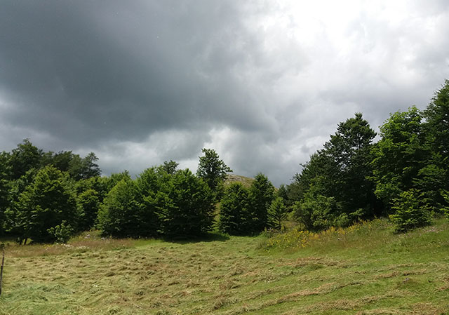 Najviša dnevna temperatura od 15 do 30 stepeni