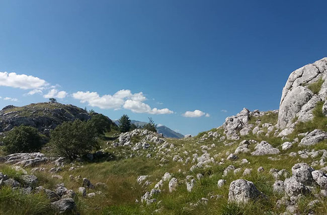 Mrkaljice-Durmitor