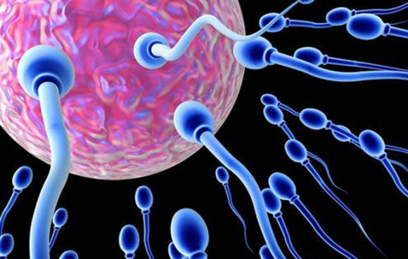 Skoro 200 djece začeto spermom davaoca sa genetskom mutacijom koja izaziva rak